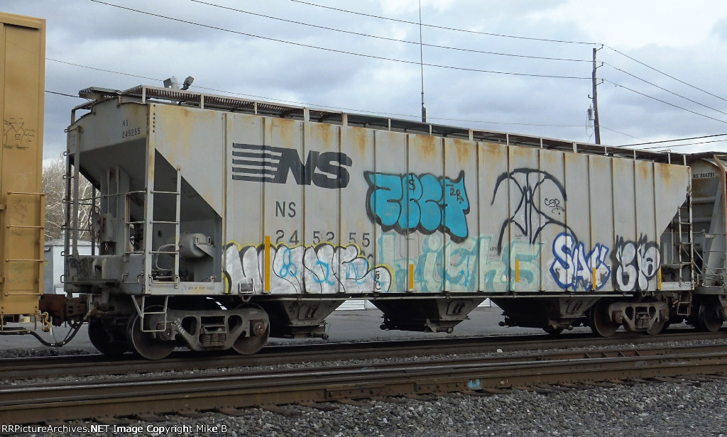 NS 245255